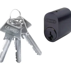GDS CYLINDER OVAL SORT 1 STK>Abus Best