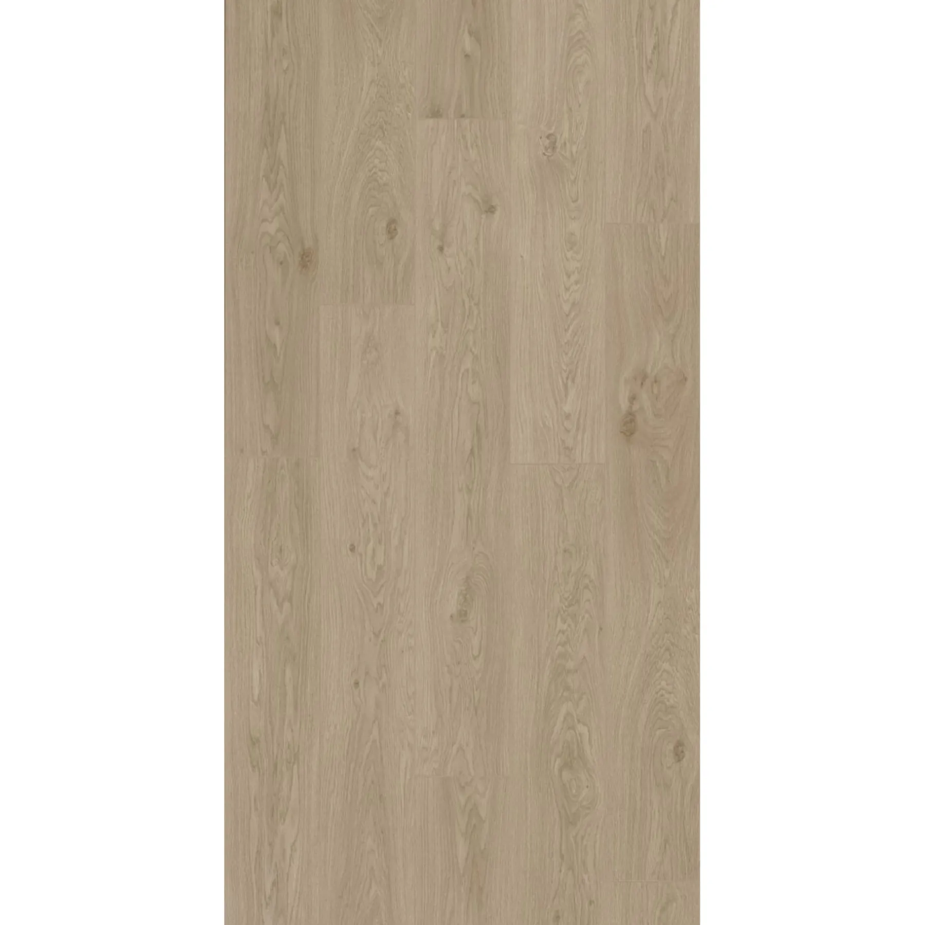 TRENDLINE LAMINATGULV LILY OAK>BerryAlloc Outlet