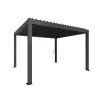 PERGOLA 4.05 X 3.68 M>Biohort Online