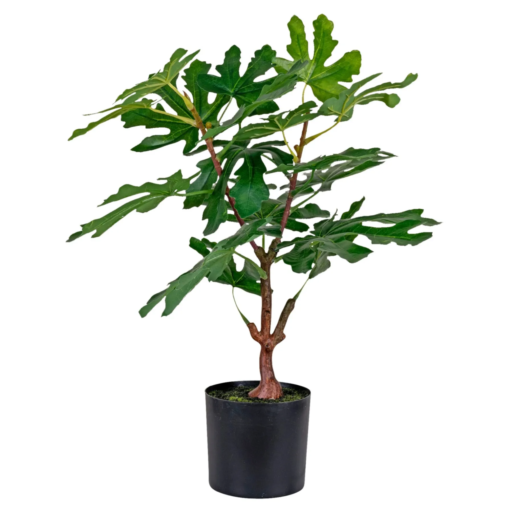 Boligindretning ^ Boliginteriør BOLIGINTERIØR FIGENTRÆ KUNSTIG PLANTE 53 CM