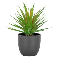 Boligindretning ^ Boliginteriør BOLIGINTERIØR SUKULENT KUNSTIG PLANTE 20,5 CM
