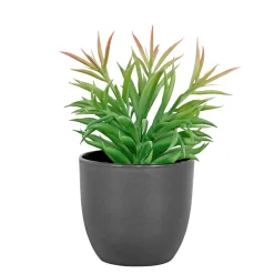 Boligindretning ^ Boliginteriør BOLIGINTERIØR SUKULENT KUNSTIG PLANTE 19 CM