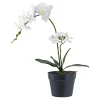 BOLIGINTERIØR ORKIDE KUNSTIG PLANTE 49 CM>Boliginteriør Online