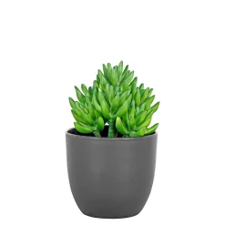 BOLIGINTERIØR SUKULENT KUNSTIG PLANTE 17 CM>Boliginteriør Sale