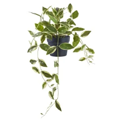 BOLIGINTERIØR VOKSBLOMST KUNSTIG PLANTE 33 CM>Boliginteriør