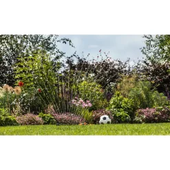 Pumper ^ Bosch GARDENPUMP 18V-2000 HAVEPUMPE