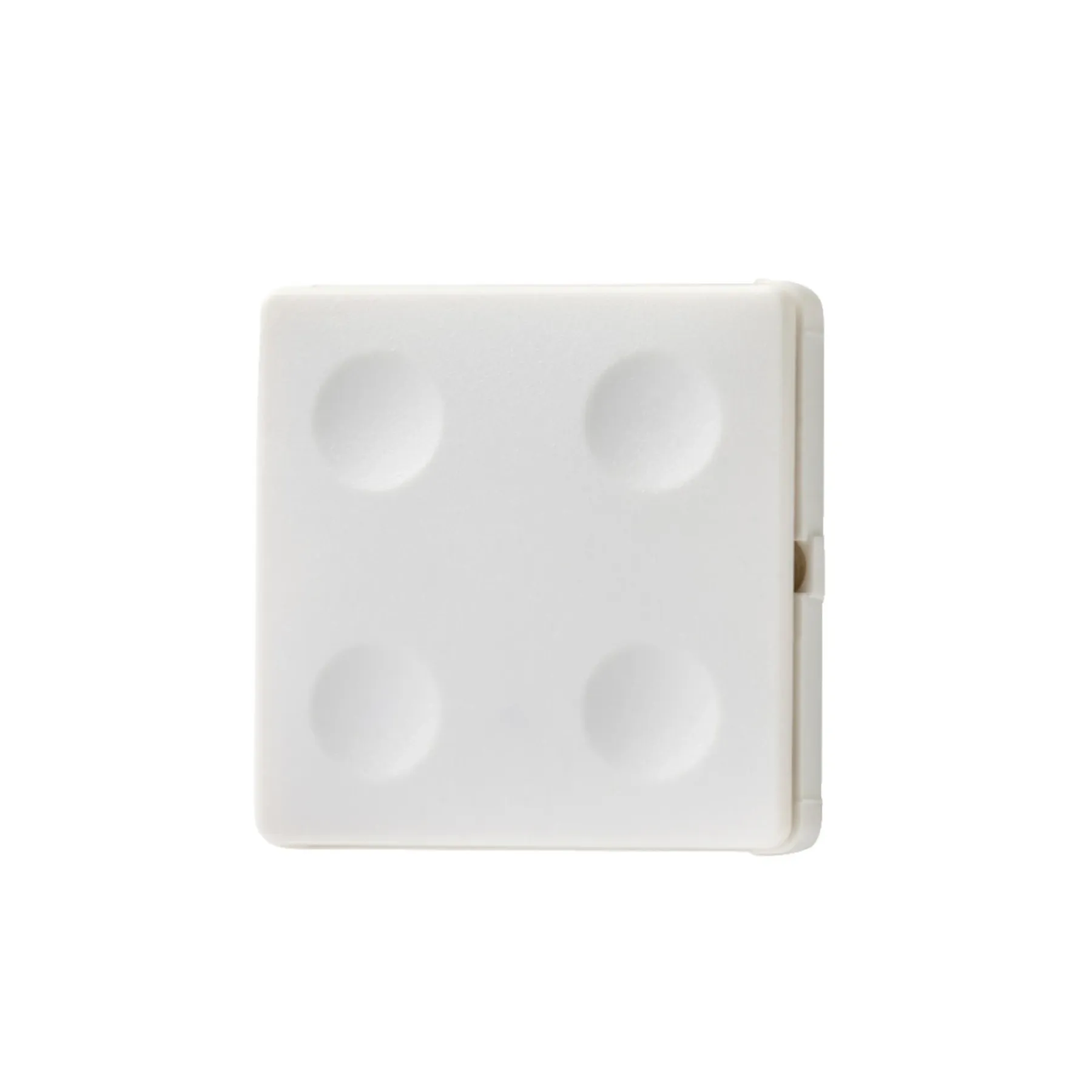 Smart Belysning ^ FESH SMART HVID SWITCH