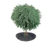 Græskanter ^ Garden Life GRÆSKANT Ø50XH7 CM