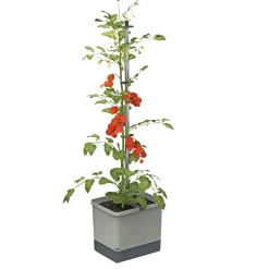 TOMAT PLANTEKASSE L34,7XB27,7XH135,4 CM>Garden Life Sale