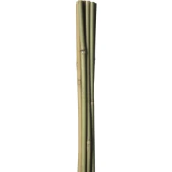 Frø & Spiring ^ HOME it GARDEN BAMBUSPINDE 150 CM