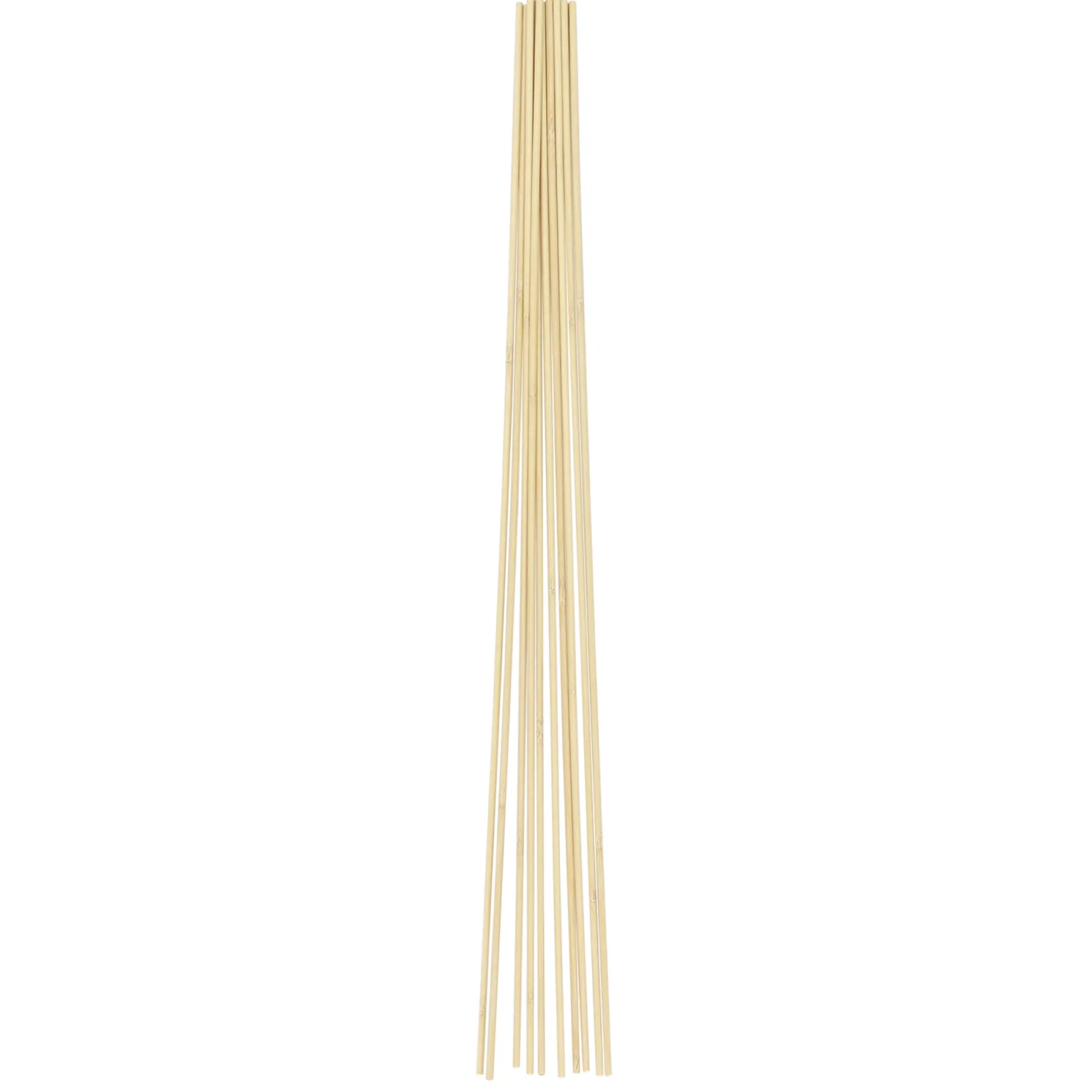 Frø & Spiring ^ HOME it GARDEN BLOMSTERPINDE 30 CM