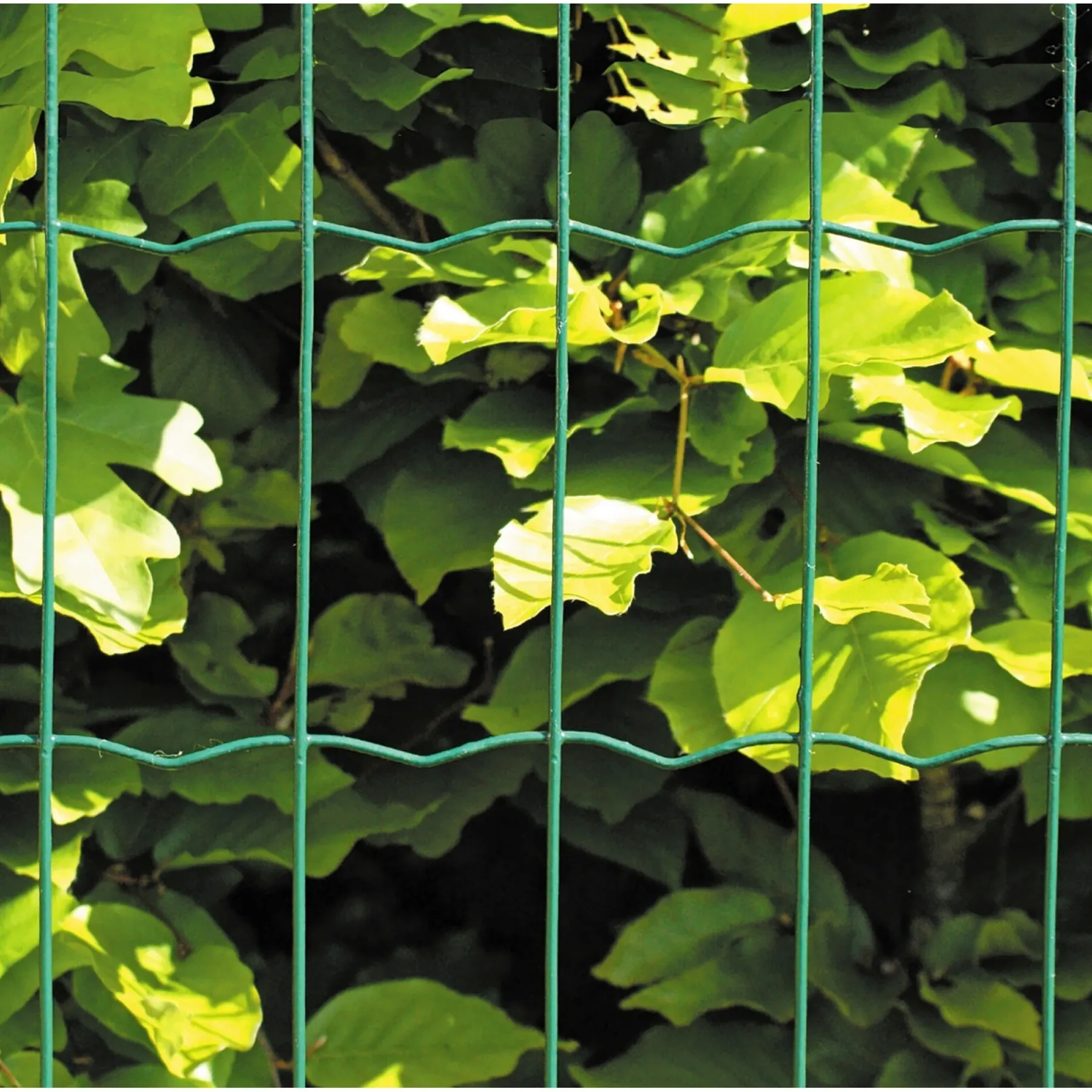 Trådhegn & Volierenet ^ Hortus PVC FRI TRÅDHEGN GRØN PLASTBELAGT 1.20 X 20 M