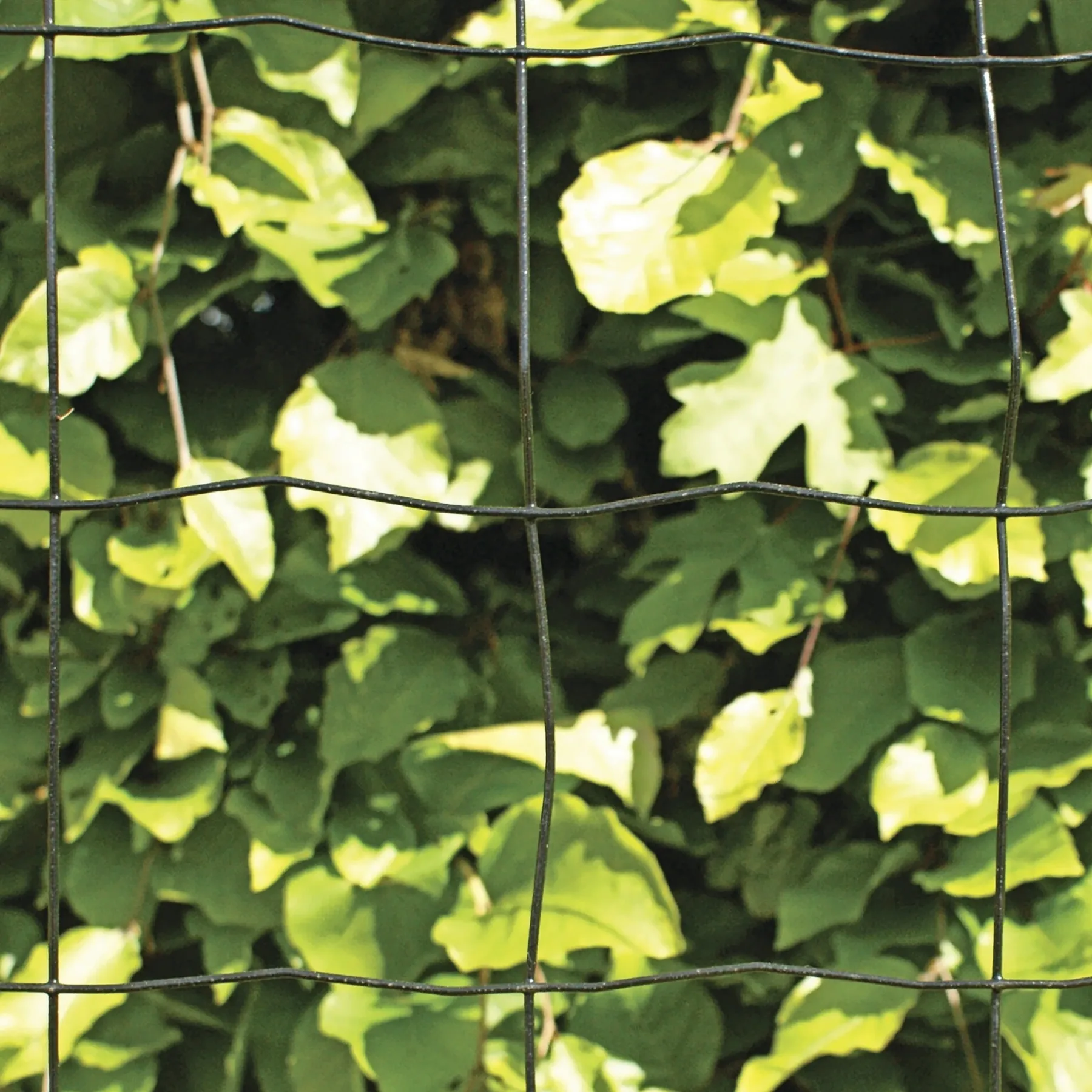 PVC FRI TRÅDHEGN SORT PLASTBELAGT 0.60 X 20 M>Hortus Outlet