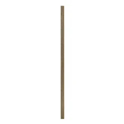 Akustikpanel ^ I-Wood AFSLUTNINGSLISTE EG, SORT OLIE 17 X 67 X 2400 MM