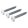 FACADESKRUE HVID 4,8X30 MM 250 STK>James Hardie