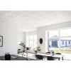 DESIGNPANEL M2F, UBEH. FAS4 AKUSTIKLOFT 13 X 900 X 2700 MM>Knauf Outlet