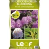 RHODODENDRONBLANDING 60 L>Leaf