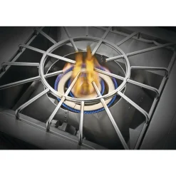 Gasgrill ^ Napoleon BUILT-IN 700 SERIE 18