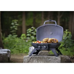 Gasgrill ^ Napoleon TRAVELQ 285 GASGRILL SORT
