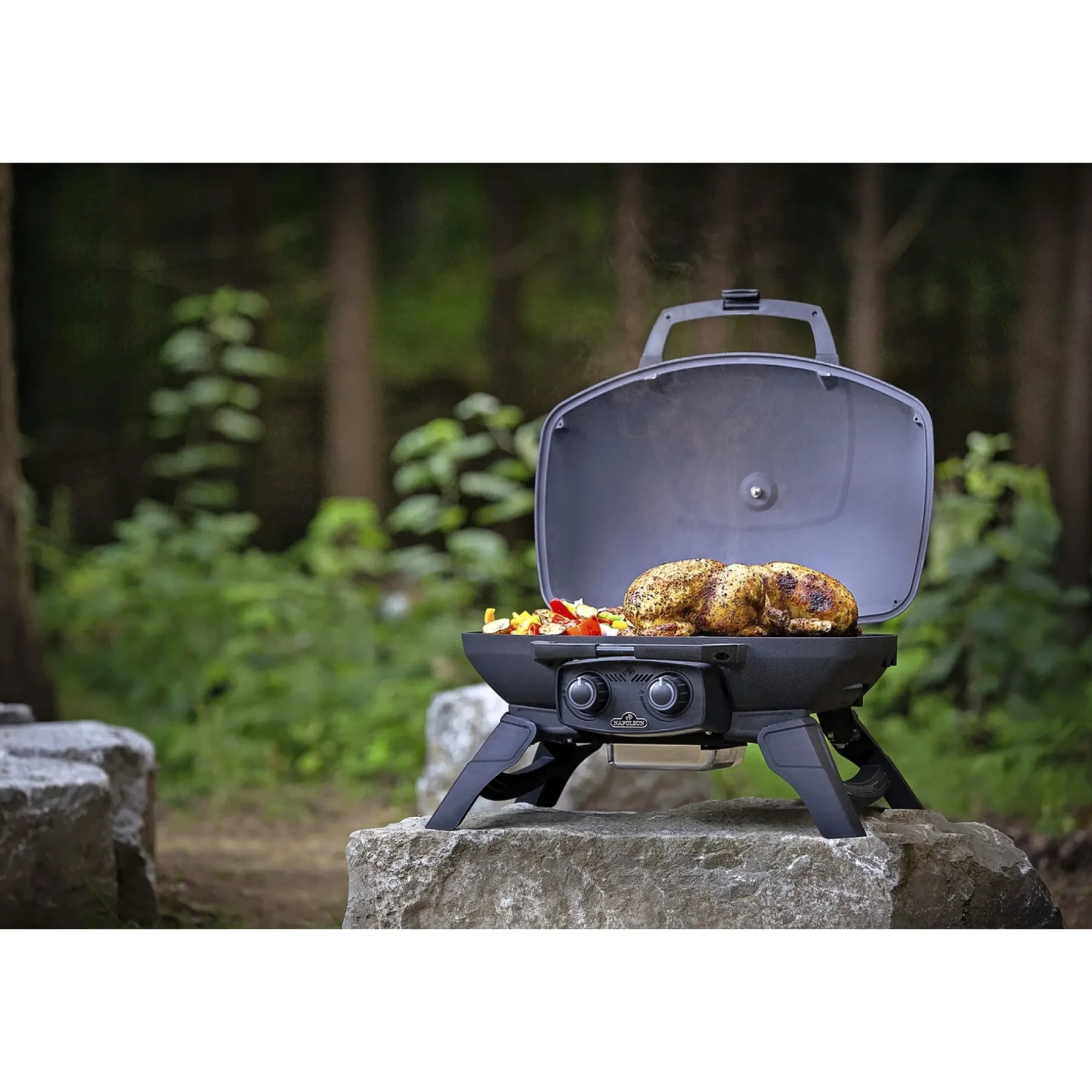 Gasgrill ^ Napoleon TRAVELQ 285 GASGRILL SORT