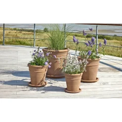 EMMA HAVEKRUKKE TERRACOTTA NATUR Ø49XH49 CM>Outrium Discount