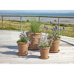 EMMA HAVEKRUKKE TERRACOTTA NATUR Ø49XH49 CM>Outrium Discount