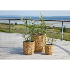 HANOI HAVEKRUKKE VANDHYACINTH NATUR Ø49XH51,5 CM>Outrium New