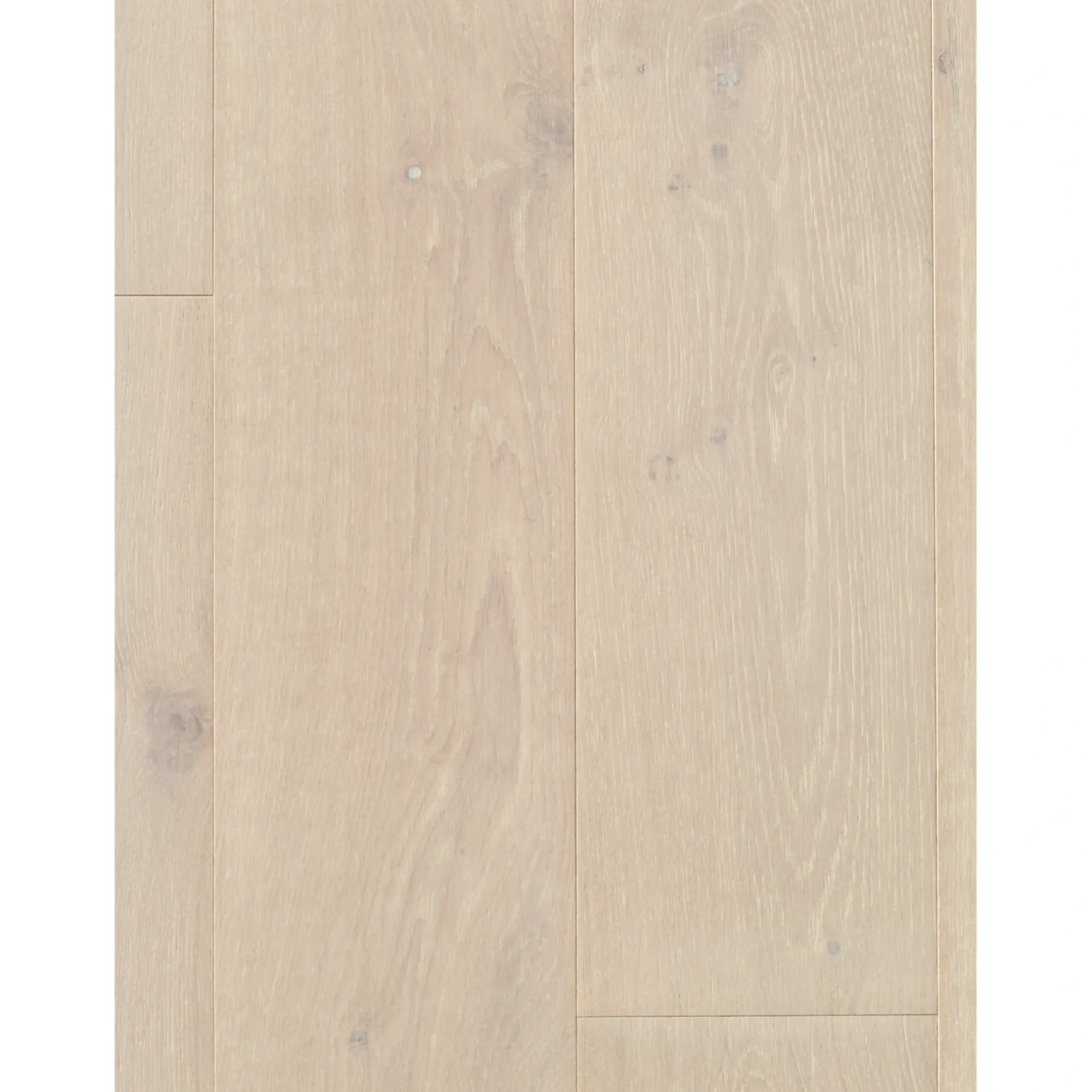 Trægulve ^ Parador CLASSIC 3060 LAMELPLANK PARKETGULV EG HVID MATLAK