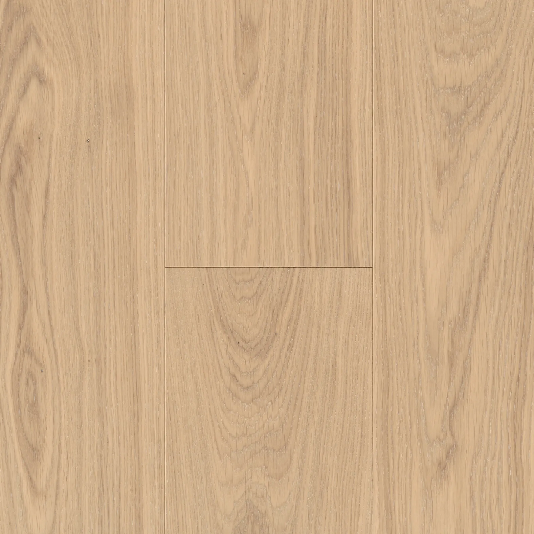 Trægulve ^ Parador CLASSIC 3060 LAMELPLANK PARKETGULV EG MATLAK NATUR