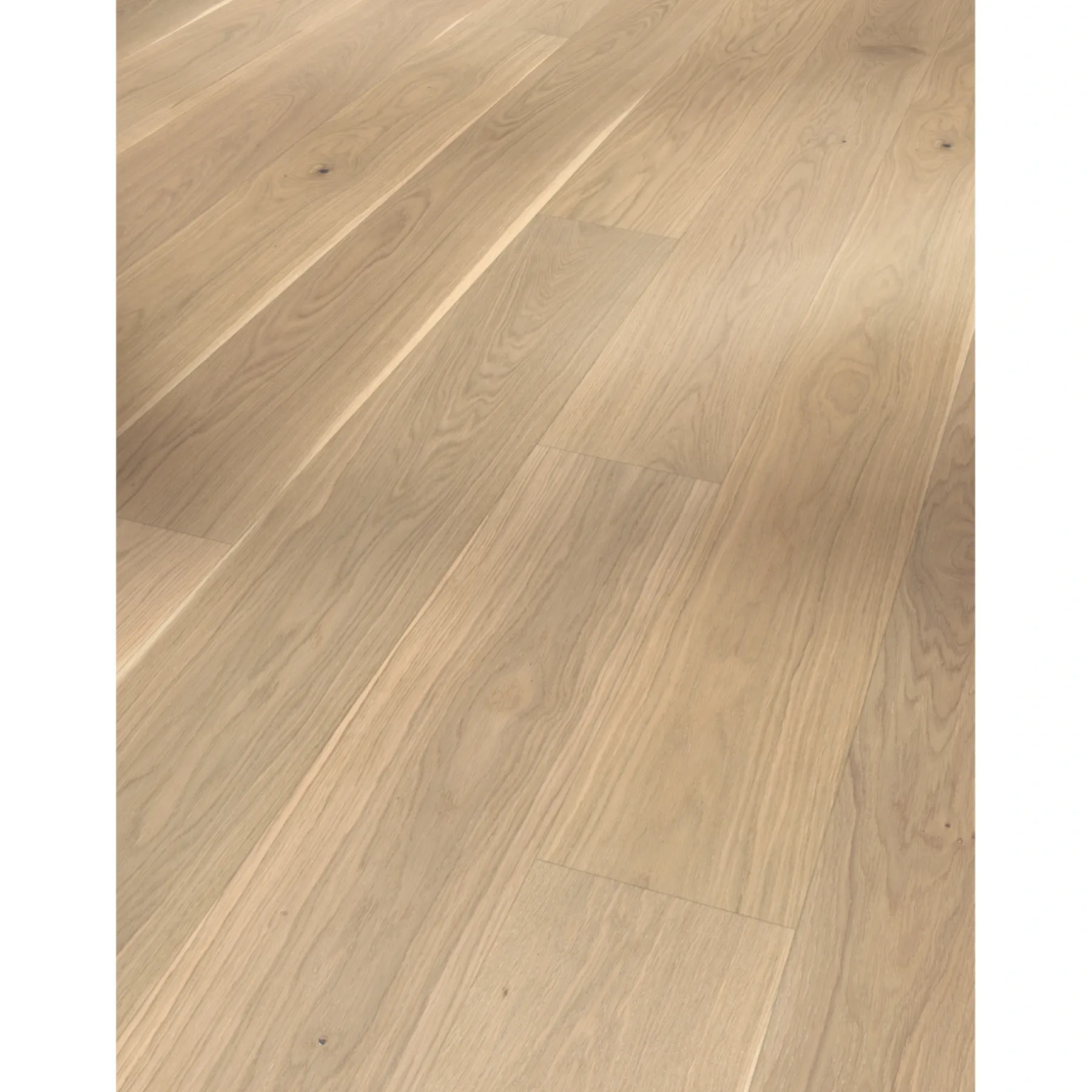 Trægulve ^ Parador CLASSIC 3060 LAMELPLANK PARKETGULV EG HVID MATLAK