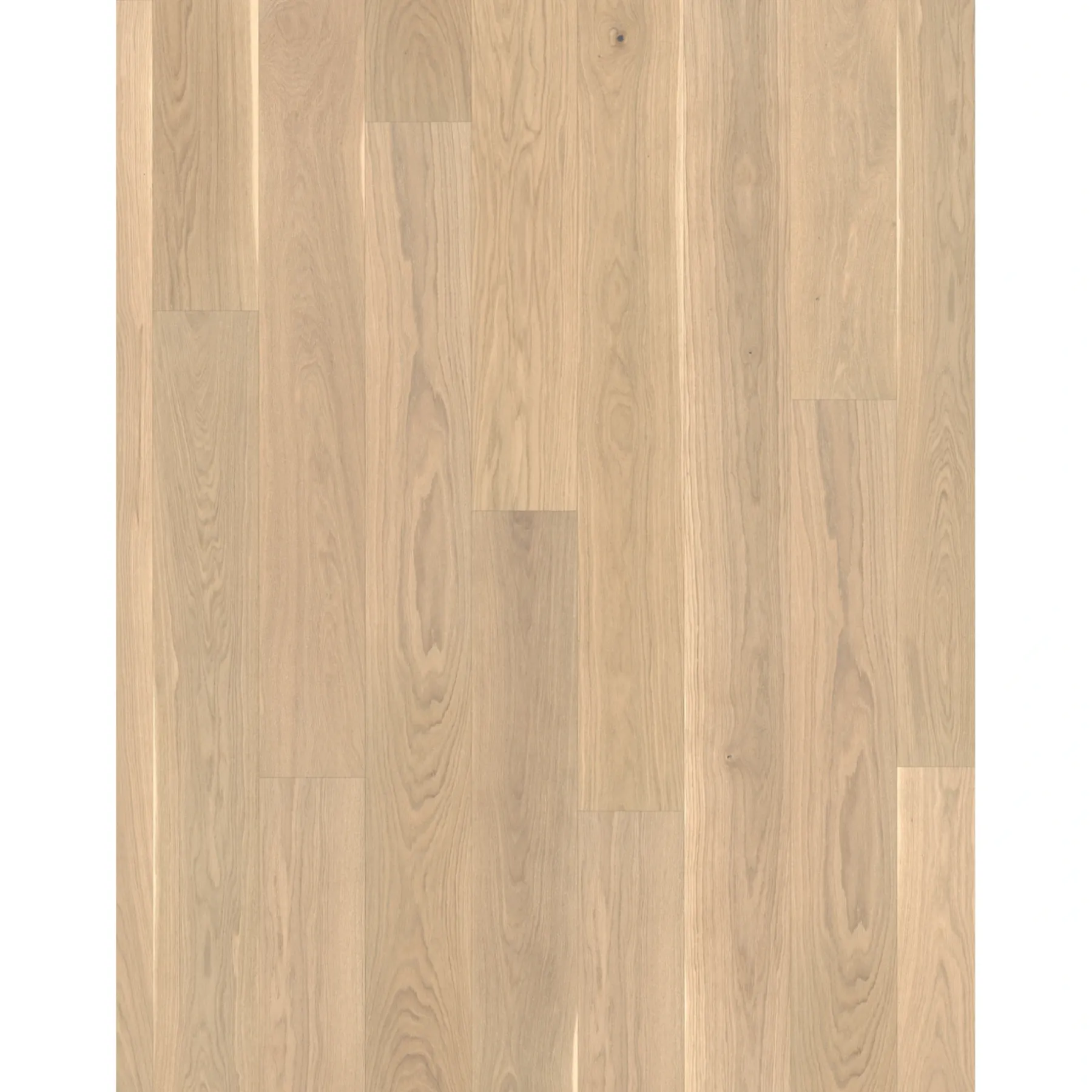 Trægulve ^ Parador CLASSIC 3060 LAMELPLANK PARKETGULV EG HVID MATLAK