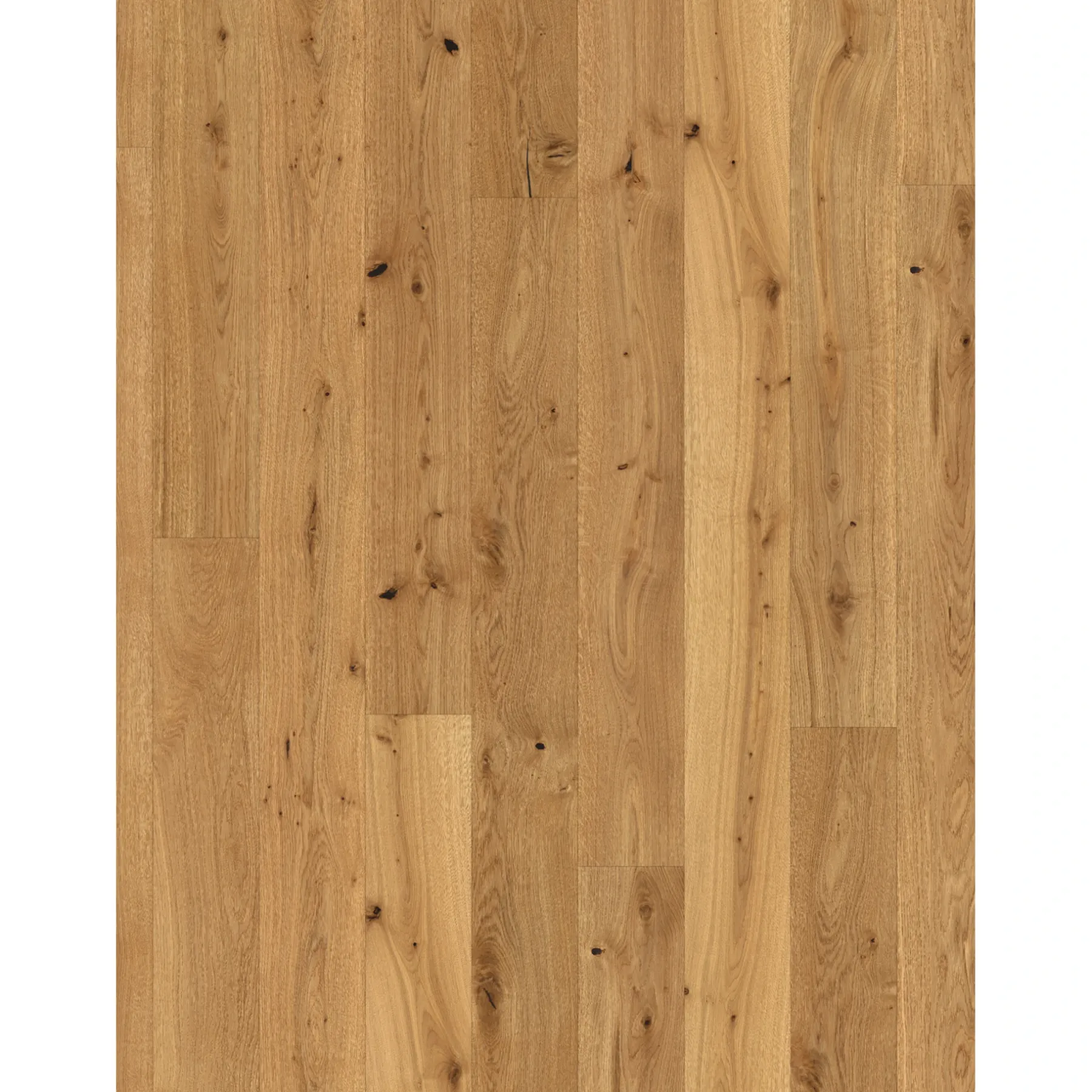 Trægulve ^ Parador CLASSIC 3060 LAMELPLANK PARKETGULV EG MATLAK NATUR