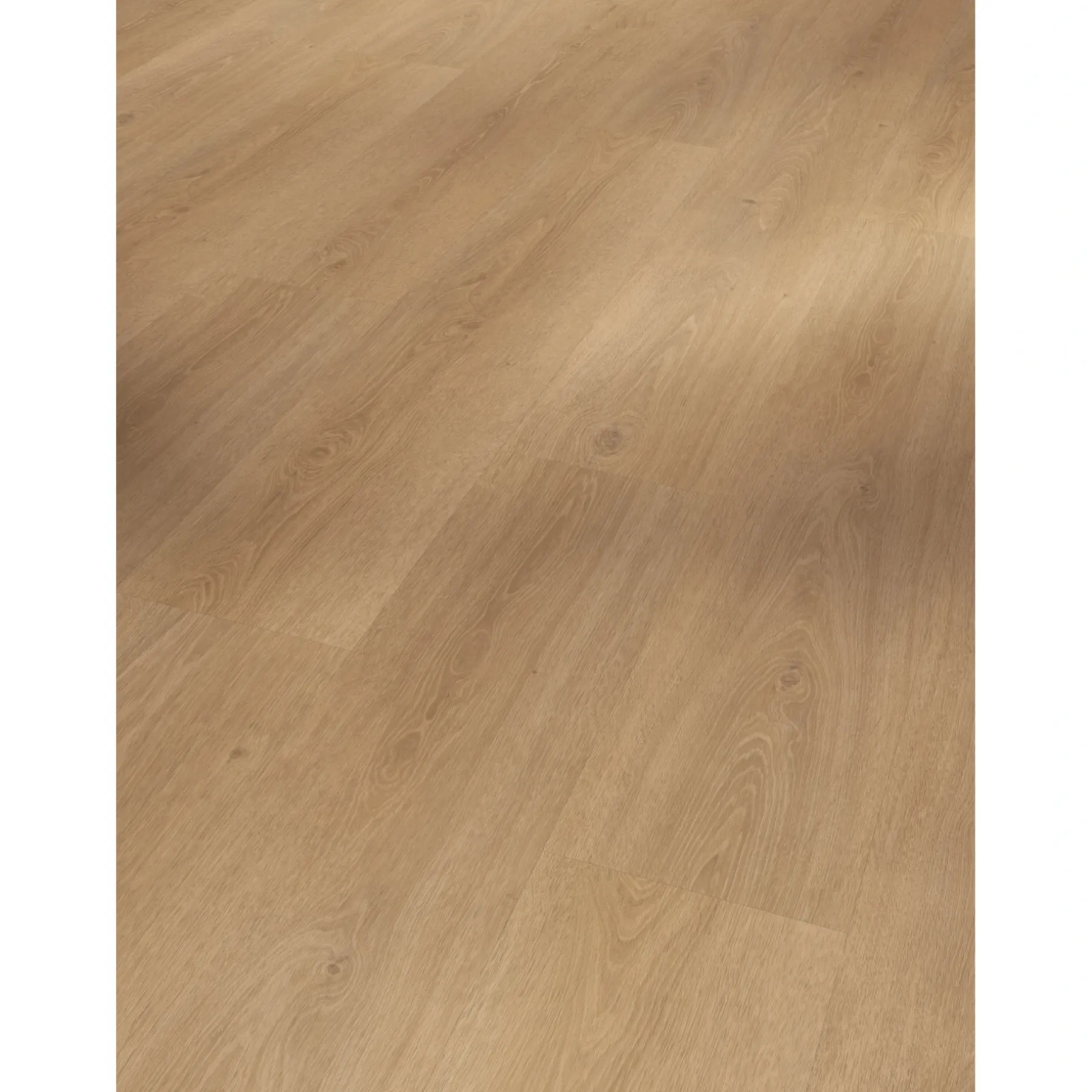 Korkvinylgulve ^ Parador CLASSIC 2030 PLANK KORKVINYLGULV EG STUDIOLINE