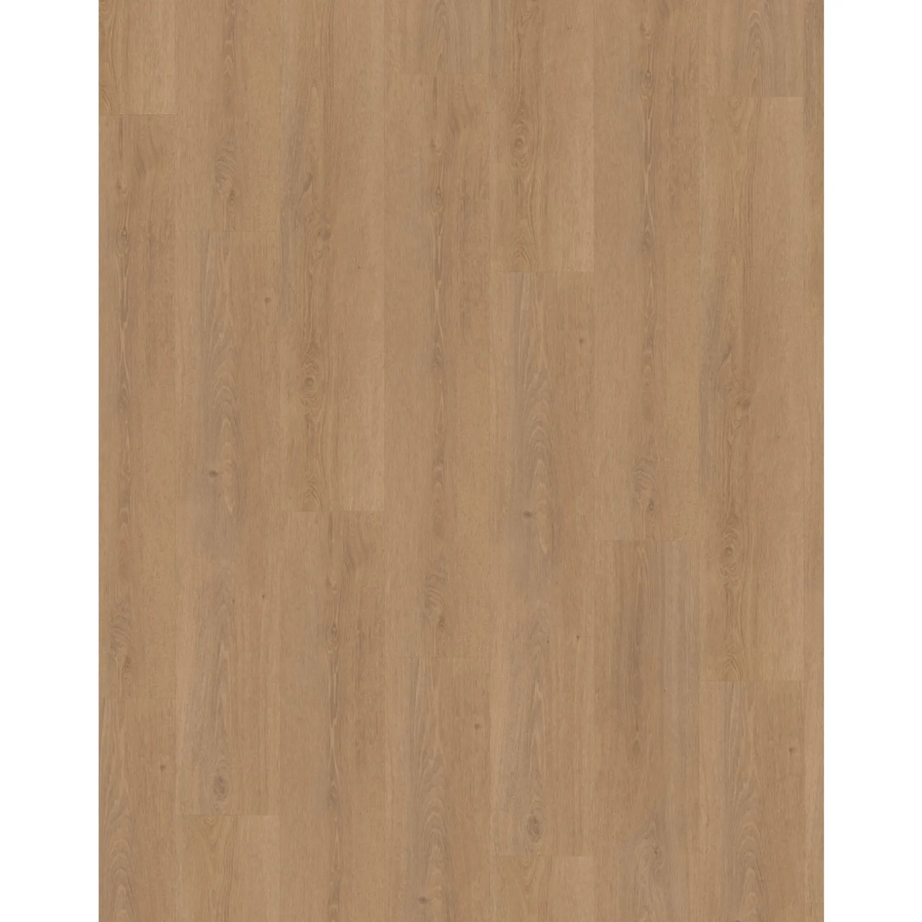Korkvinylgulve ^ Parador CLASSIC 2030 PLANK KORKVINYLGULV EG STUDIOLINE