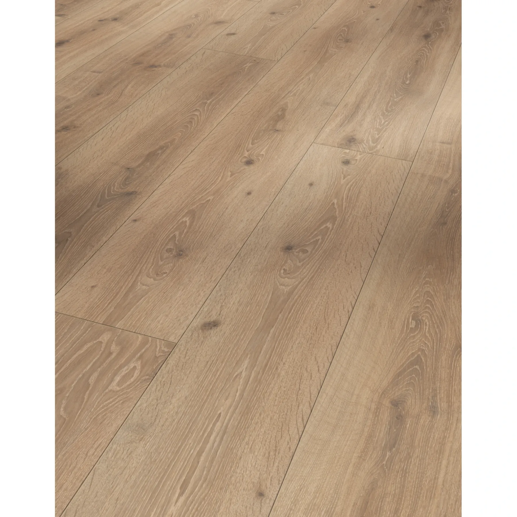 TRENDTIME 6 LAMINATGULV EG CASTELL KALKET>Parador Best