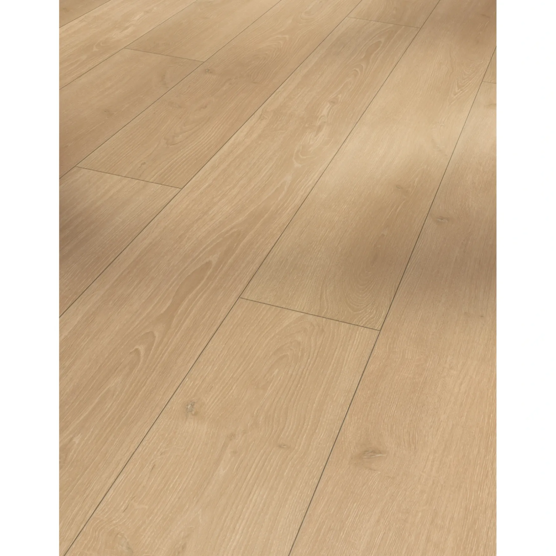 TRENDTIME 6 LAMINATGULV EG STUDIOLINE NATUR>Parador Sale