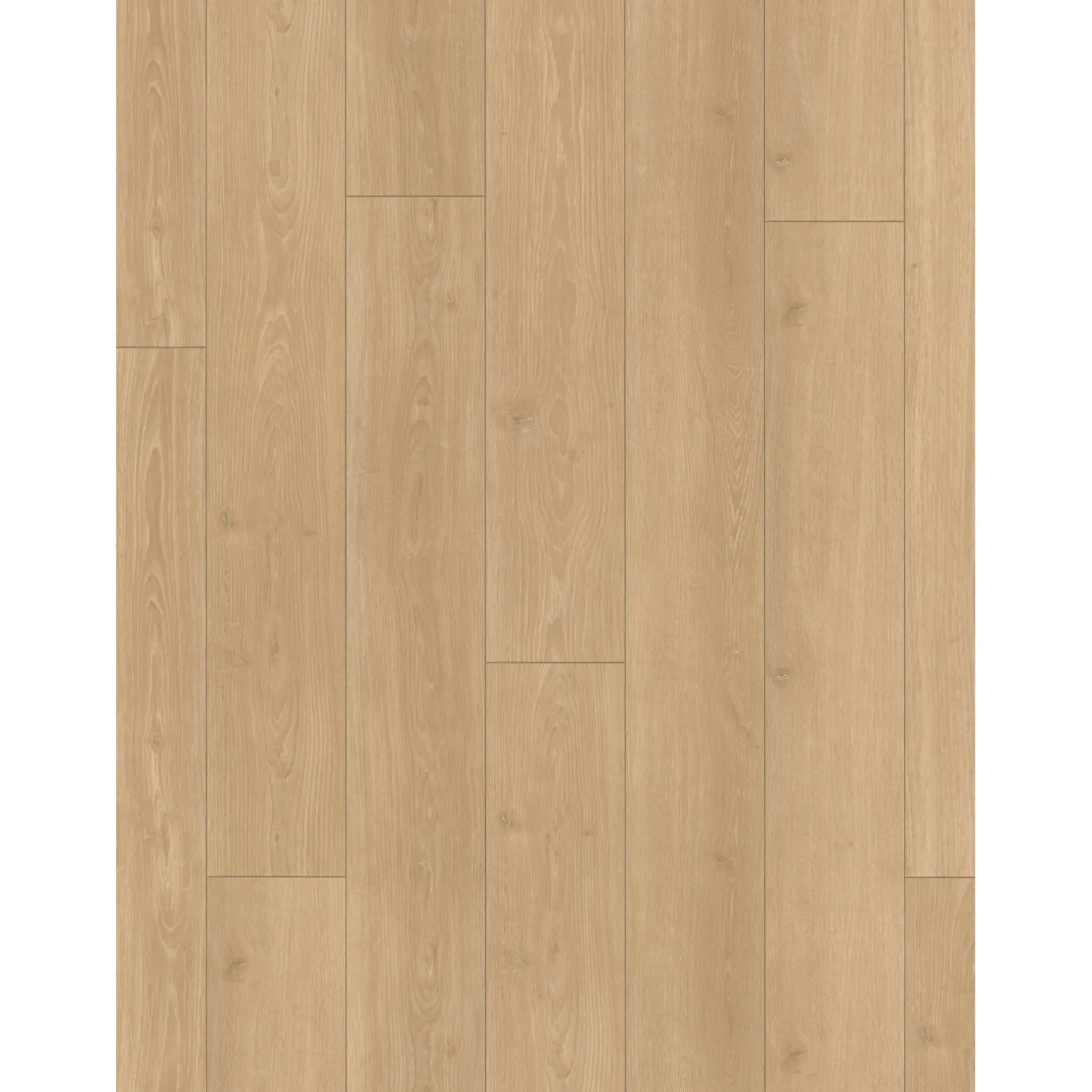 TRENDTIME 6 LAMINATGULV EG STUDIOLINE NATUR>Parador Sale
