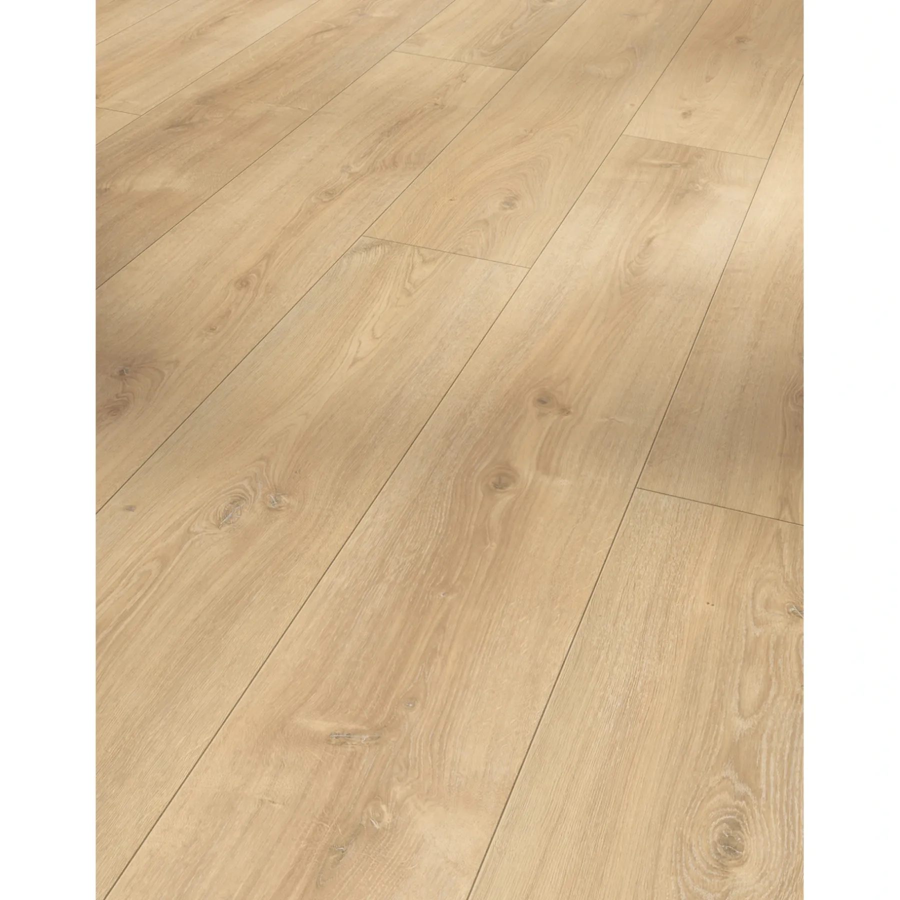 TRENDTIME 6 LAMINATGULV EG NOVA LYS KALKET>Parador Sale