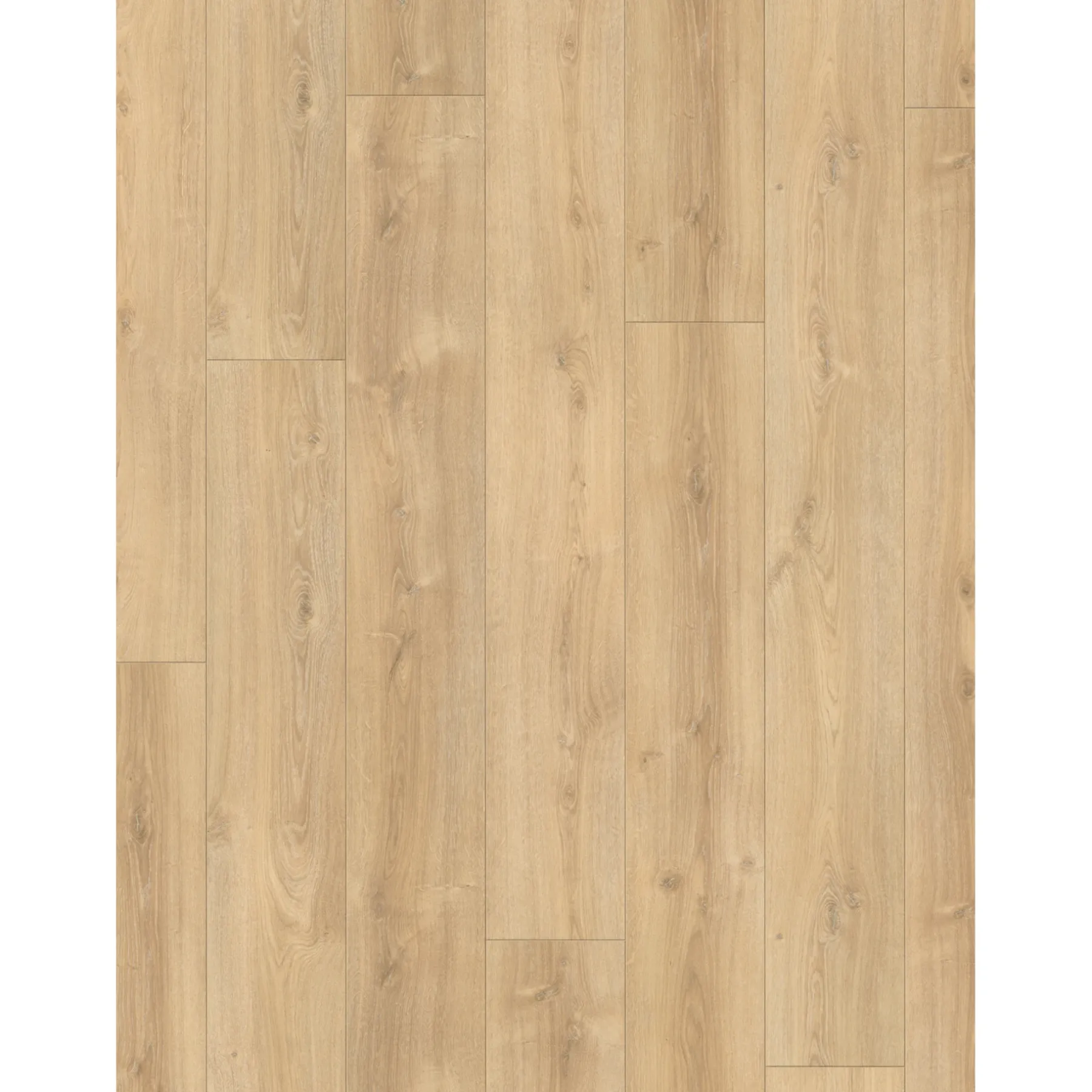 TRENDTIME 6 LAMINATGULV EG NOVA LYS KALKET>Parador Sale