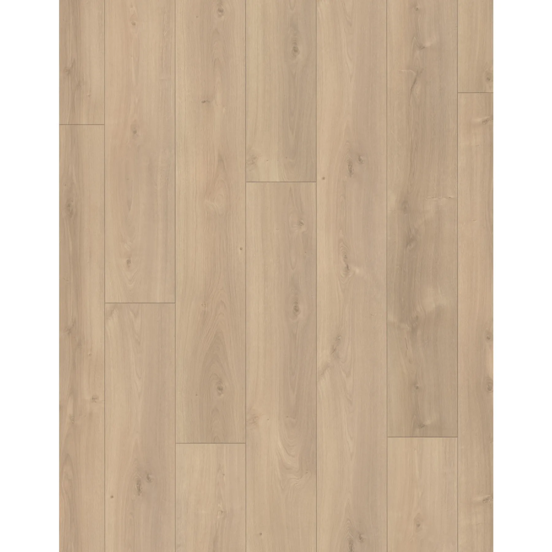 TRENDTIME 6 LAMINATGULV EG AVANT SLEBET>Parador Best