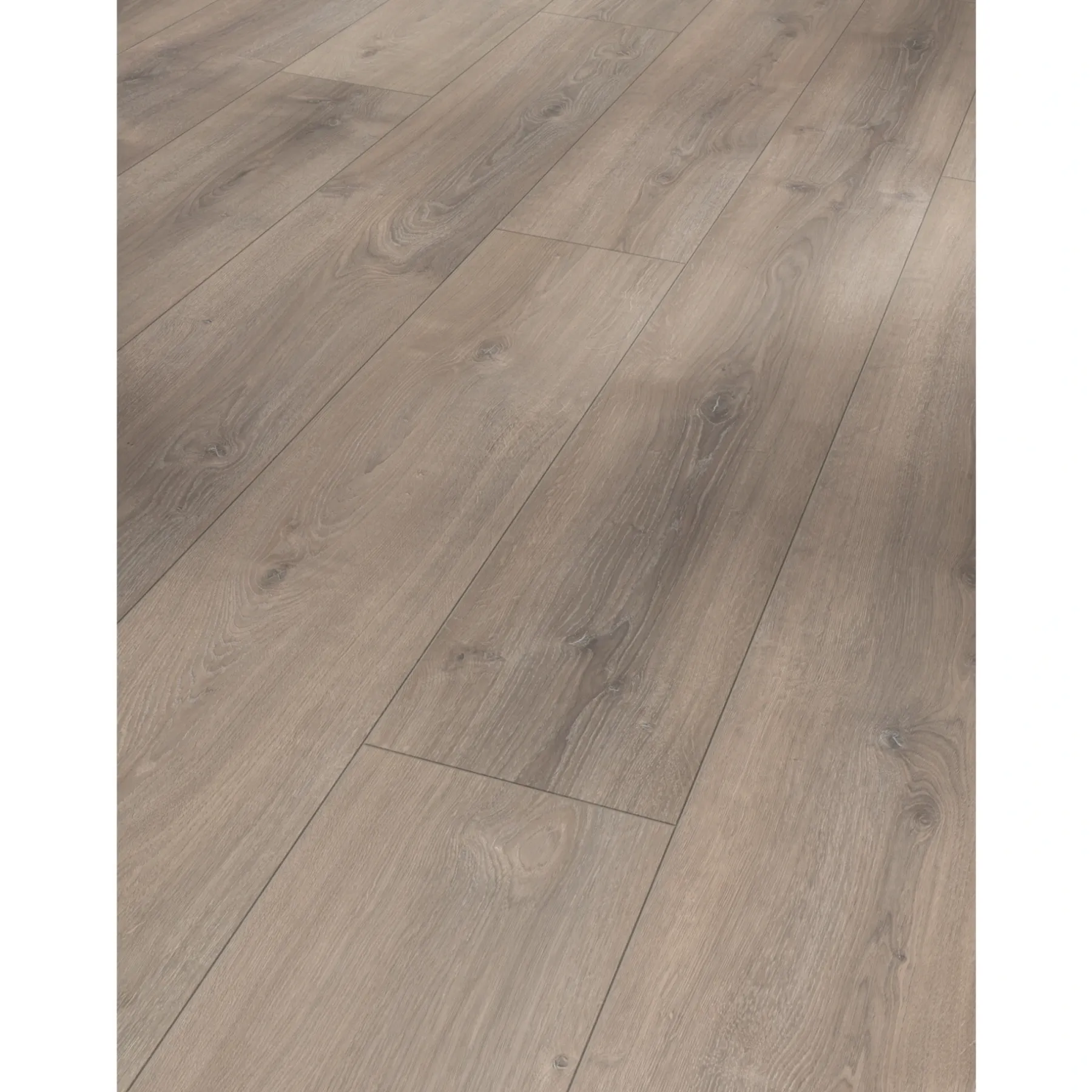 TRENDTIME 6 LAMINATGULV EG VALERE MØRK KALKET>Parador Outlet