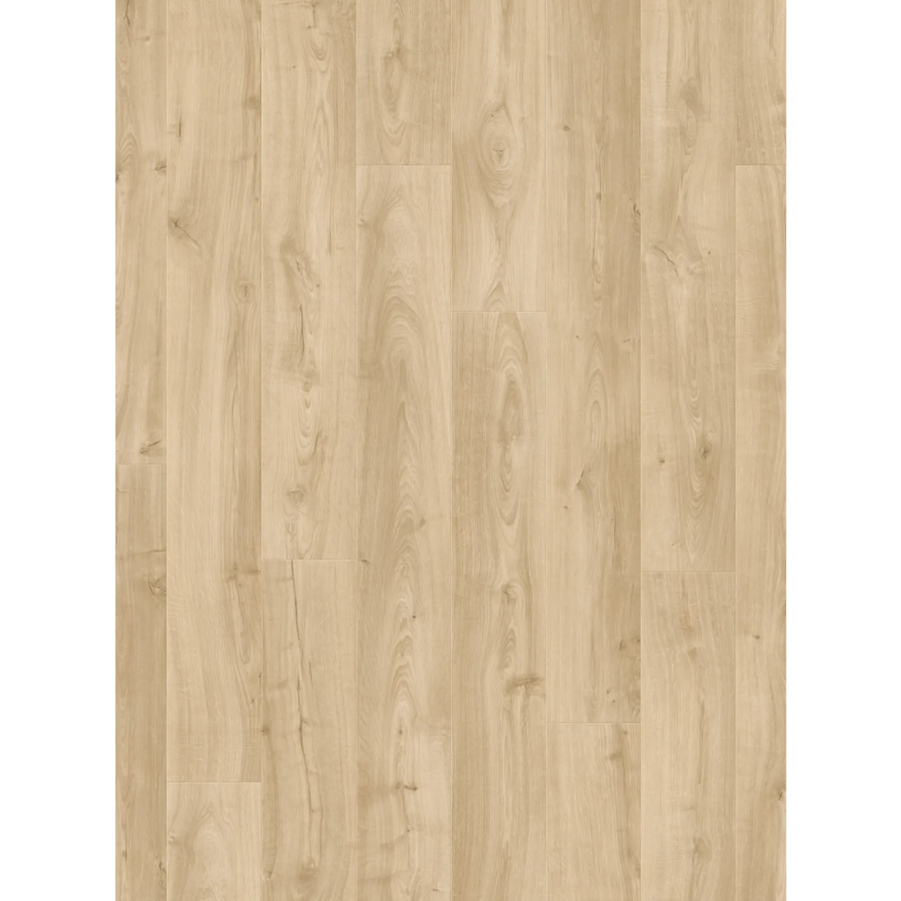 Laminatgulve ^ Pergo TRONDHEIM LAMINATGULV FRESH NORDIC OAK