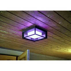 Smart Belysning ^ Philips Hue WCA ECONIC SQUARE UDENDØRS VÆGLAMPE 15W SORT