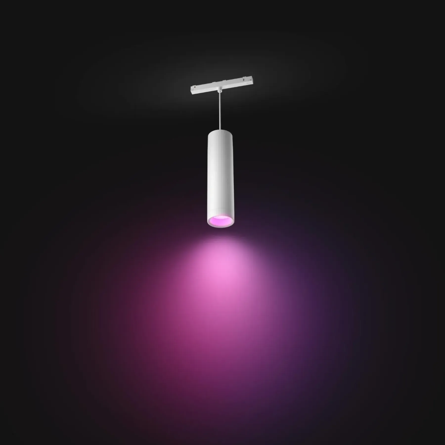 PERIFO PENDEL SKINNESYSTEM HVID LED 5W>Philips Hue Clearance