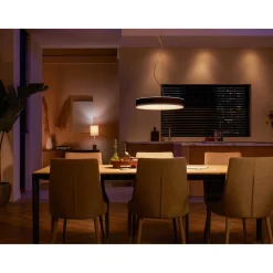 WA ENRAVE PENDEL SORT 47 CM>Philips Hue Sale