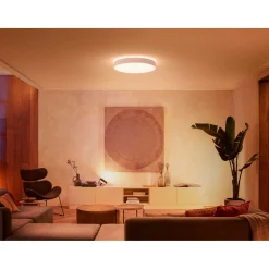 WA ENRAVE XL PLAFOND 48W HVID 600 MM>Philips Hue Best