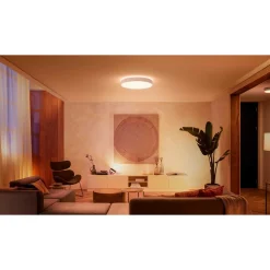 WA ENRAVE XL PLAFOND 48W HVID 600 MM>Philips Hue Best