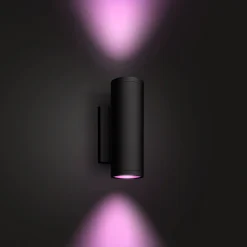 WCA APPEAR UDENDØRS VÆGLAMPE 16W SORT>Philips Hue