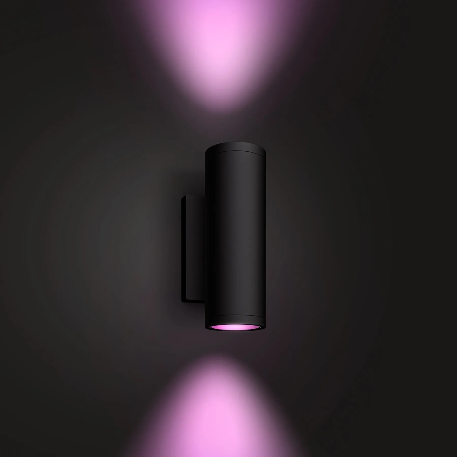 WCA APPEAR UDENDØRS VÆGLAMPE 16W SORT>Philips Hue