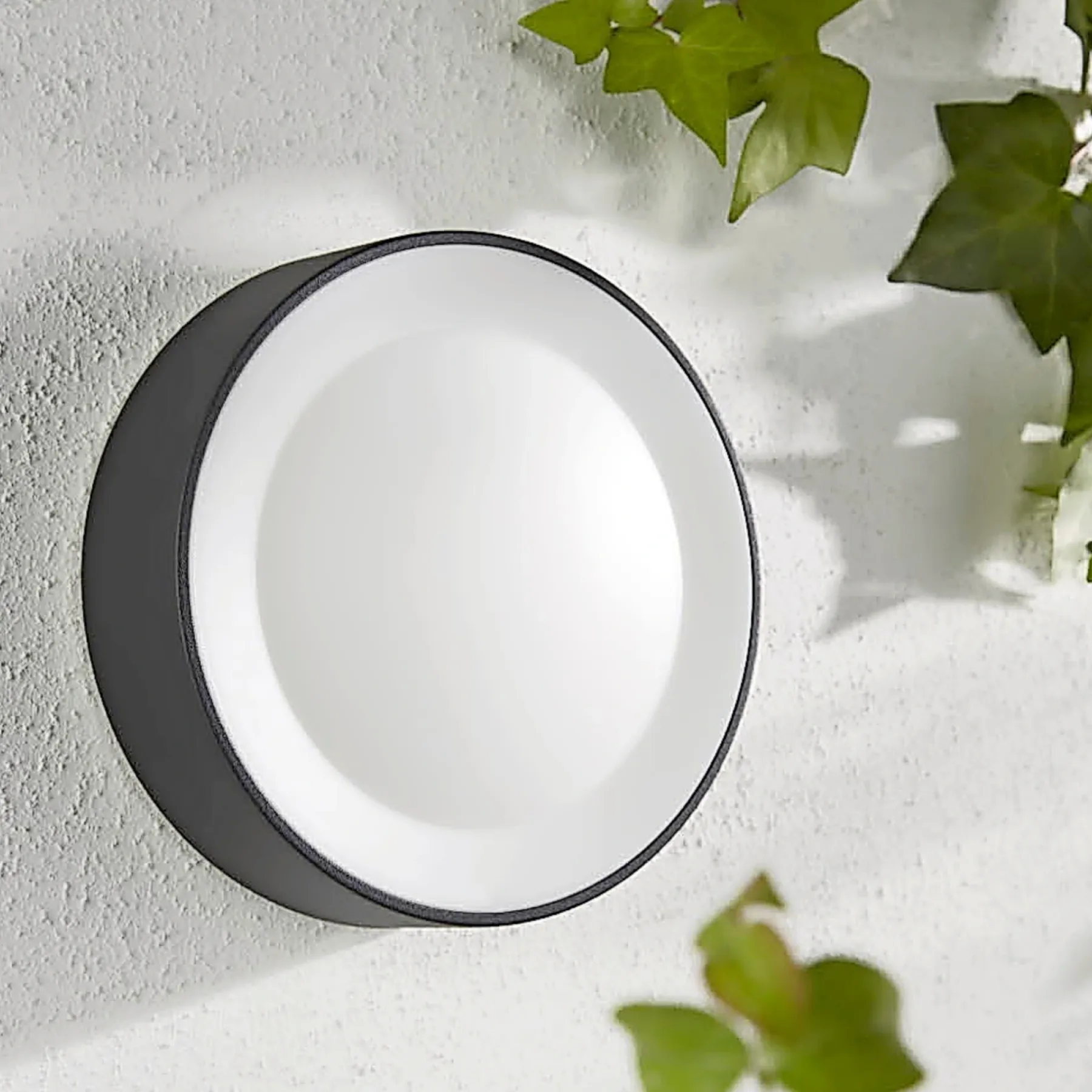 WCA DAYLO UDENDØRS VÆGLAMPE 15W SORT>Philips Hue Clearance